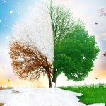 Embracing the Shift: Navigating Life’s Seasons of Change